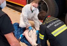 Feuerwache wird kurzerhand zur Tierklinik - Olympiapark/ Schwanthalerhöhe